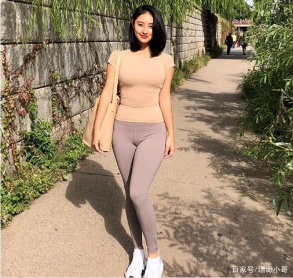 后宫三国破解版下载